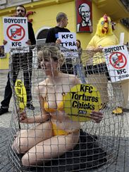 Aktivisté ze Společnosti na ochranu zvířat protestovali v Praze před pobočkou KFC (Kentucky Fried Chicken) proti způsobu velkochovu kuřat.