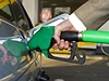 Čeští řidiči mírně preferují naftu před benzinem | Lidovky.cz - Auto Pohonné hmoty - ilustrační