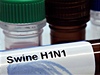 Zkumavka s virem A(H1N1). | na serveru Lidovky.cz | aktuální zprávy Zkumavka s virem A(H1N1). | na serveru Lidovky.cz | aktuální zprávy