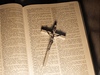 Bible, krucifix (ilustrační foto) | na serveru Lidovky.cz | aktuální zprávy Bible, krucifix (ilustrační foto) | na serveru Lidovky.cz | aktuální zprávy