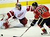 Jimmy Howard chytá trestné střílení.