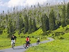 Usychající porosty nejsou pro turisty žádný strašák. Mnozí se na taková místa chtějí vrátit, aby videli, jak se les přirozenou cestou obnovuje, říkají ekologové. | na serveru Lidovky.cz | aktuální zprávy Usychající porosty nejsou pro turisty žádný strašák. Mnozí se na taková místa chtějí vrátit, aby videli, jak se les přirozenou cestou obnovuje, říkají ekologové. | na serveru Lidovky.cz | aktuální zprávy