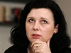 Překvapivá souvislost: komunista Kováčik vedl v pionýru Jourovou | Lidovky.cz - Zprávy z domova Někdejší náměstkyně ministra pro místní rozvoj Věra Jourová
