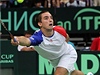 Davis Cup: Srbsko - Česko (Viktor Troicki) | na serveru Lidovky.cz | aktuální zprávy Davis Cup: Srbsko - Česko (Viktor Troicki) | na serveru Lidovky.cz | aktuální zprávy