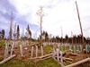 Národní park Šumava (fotografie z roku 2001) | na serveru Lidovky.cz | aktuální zprávy Národní park Šumava (fotografie z roku 2001) | na serveru Lidovky.cz | aktuální zprávy