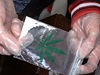 Připravená droga | na serveru Lidovky.cz | aktuální zprávy Připravená droga | na serveru Lidovky.cz | aktuální zprávy