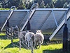 Solárně-teplovodní elektrárna