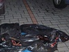 Pytle se staženými zvířaty nalezené v Českých Budějovicích | na serveru Lidovky.cz | aktuální zprávy Pytle se staženými zvířaty nalezené v Českých Budějovicích | na serveru Lidovky.cz | aktuální zprávy