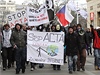 Asi 500 lidí demonstrovalo v Brně proti smlouvě ACTA | na serveru Lidovky.cz | aktuální zprávy Asi 500 lidí demonstrovalo v Brně proti smlouvě ACTA | na serveru Lidovky.cz | aktuální zprávy
