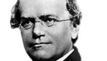 Gregor Johann Mendel | na serveru Lidovky.cz | aktuální zprávy Gregor Johann Mendel | na serveru Lidovky.cz | aktuální zprávy