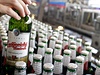 Budějovický Budvar | na serveru Lidovky.cz | aktuální zprávy Budějovický Budvar | na serveru Lidovky.cz | aktuální zprávy
