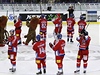 Nominace na MS: vypadl zraněný Tlustý, připojí se Mrázek | Lidovky.cz - Hokej Česko