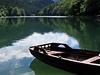 Národní parky a další lákadla Černé Hory | Lidovky.cz - Cestování cestopisy Národní park Biogradska Gora, Černá Hora.