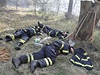 Hasi�i bojovali a� do úplného vy�erpání s rozsáhlým lesním po�árem, který vypukl ve �tvrtek odpoledne na Hodonínsku mezi Bzencem, Strá�nicí a Ratí�kovicemi.  | na serveru Lidovky.cz | aktu�ln� zpr�vy