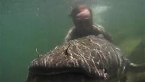 V�gner s lido�ravou rybou groonch