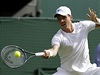 �esk� tenista Tom� Berdych