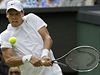 �esk� tenista Tom� Berdych