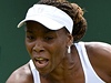 Venus Williamsov�