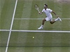Roger Federer a Andy Murray ve fin�le Wimbledonu