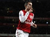 Bývalý fotbalista Arsenalu Robin Van Persie | na serveru Lidovky.cz | aktu�ln� zpr�vy