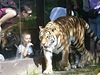 ZOO Dvůr Králové nad Labem. | na serveru Lidovky.cz | aktuální zprávy ZOO Dvůr Králové nad Labem. | na serveru Lidovky.cz | aktuální zprávy