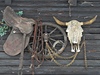Na n�kterých chatách byly skute�n� p�ibity lebky nejspí�e �eské krávy | na serveru Lidovky.cz | aktu�ln� zpr�vy