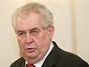 Zeman: Referendum v ČSSD by odložilo jmenování Sobotky premiérem | Lidovky.cz - Zprávy z domova Prezident Miloš Zeman