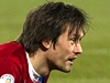 TIME OUT LN: Uražená Ghana. Poslal by Zeman fotbalistům taky miliony? | Lidovky.cz - MS fotbal 2014 Tomáš Rosický v utkání proti Dánsku.