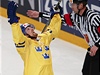 Hokejist� �v�carska
