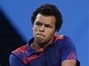 Tsonga během vítězného finále Hopman Cupu proti Polsku | na serveru Lidovky.cz | aktuální zprávy Tsonga během vítězného finále Hopman Cupu proti Polsku | na serveru Lidovky.cz | aktuální zprávy