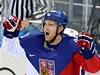 Aleš Hemský slaví gól proti USA | na serveru Lidovky.cz | aktuální zprávy Aleš Hemský slaví gól proti USA | na serveru Lidovky.cz | aktuální zprávy