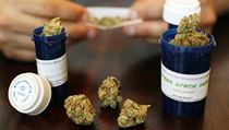 Marihuana určená pro lékařské účely. Federální úřady podnikly za Obamovy vlády dosud stovku zásahů proti institucím, které drogu pacientům poskytují. | na serveru Lidovky.cz | aktuální zprávy Marihuana určená pro lékařské účely. Federální úřady podnikly za Obamovy vlády dosud stovku zásahů proti institucím, které drogu pacientům poskytují. | na serveru Lidovky.cz | aktuální zprávy