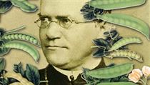 Brněnský opat Gregor Johann Mendel formuloval takzvané tři Mendelovy zákony dědičnosti, a je proto označován za „otce genetiky“. | na serveru Lidovky.cz | aktuální zprávy Brněnský opat Gregor Johann Mendel formuloval takzvané tři Mendelovy zákony dědičnosti, a je proto označován za „otce genetiky“. | na serveru Lidovky.cz | aktuální zprávy