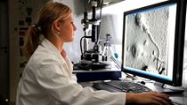 Moderní výzkumná centra, jako je třeba CEITEC v Brně (na snímku), usilují o nadané ženy ve svých laboratořích. Nabídnout jim k vědě i mateřství dobré podmínky není vždy snadné. | na serveru Lidovky.cz | aktuální zprávy Moderní výzkumná centra, jako je třeba CEITEC v Brně (na snímku), usilují o nadané ženy ve svých laboratořích. Nabídnout jim k vědě i mateřství dobré podmínky není vždy snadné. | na serveru Lidovky.cz | aktuální zprávy