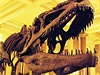 Kostra dinosaura - ilustrační foto | na serveru Lidovky.cz | aktuální zprávy Kostra dinosaura - ilustrační foto | na serveru Lidovky.cz | aktuální zprávy