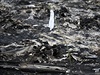 Bílá vlajka odkazuje na místo zbytků těl po pádu malajského letadla | na serveru Lidovky.cz | aktuální zprávy