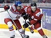 Podivný polopravdozvěst. Je opravdu Zacha hokejovým spasitelem? | Lidovky.cz - Názory Souboj u hrazení. David Kaše vs. Luca Hischier.