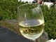 vinobran�