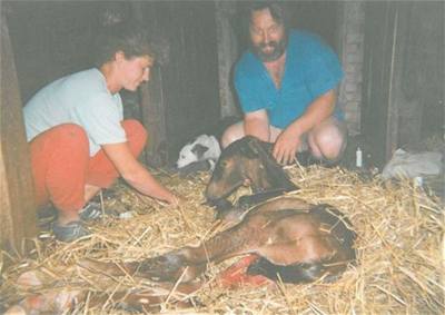 Adamusová - narodila se Vilma Adamusová - narodila se Vilma