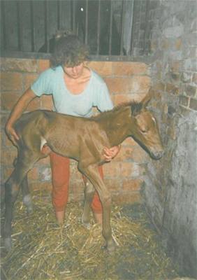 Adamusová - narodila se Vilma 3 Adamusová - narodila se Vilma 3