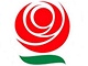 cssd