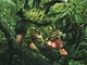 Fragment Warren Fahy