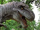 Dino 3